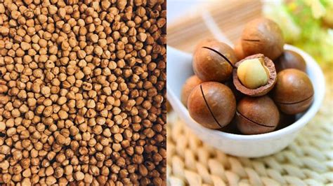 Macadamia Nuts Hazelnuts