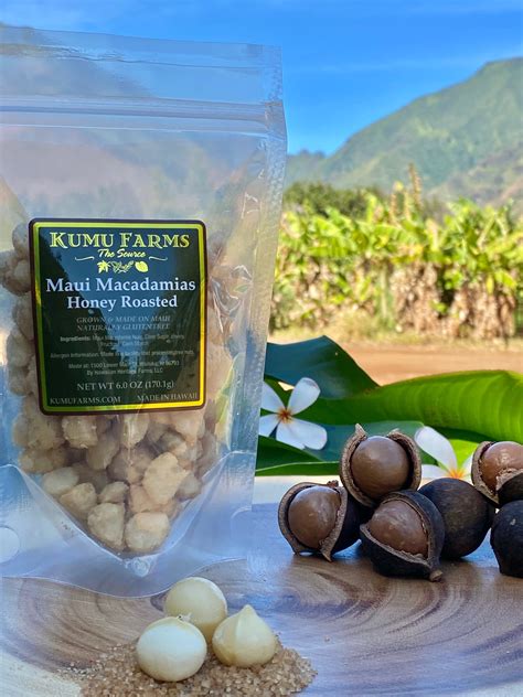Macadamia Nuts Maui