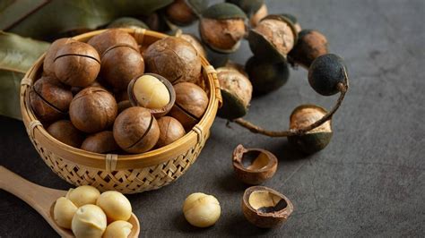 Macadamia Nuts Not Digested