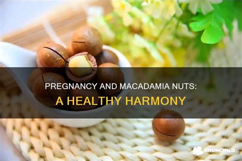 Macadamia Nuts Safe During Pregnancy