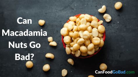 Macadamia Nuts Unhealthy