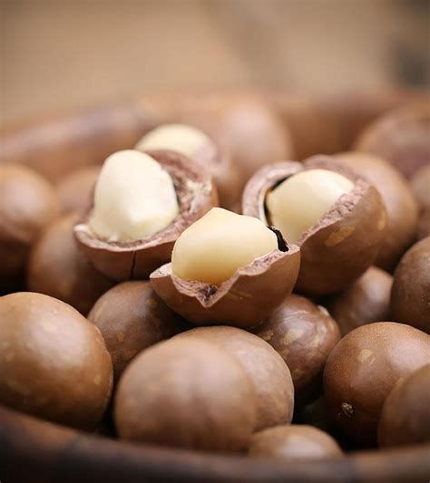 Macadamia Nuts Uses