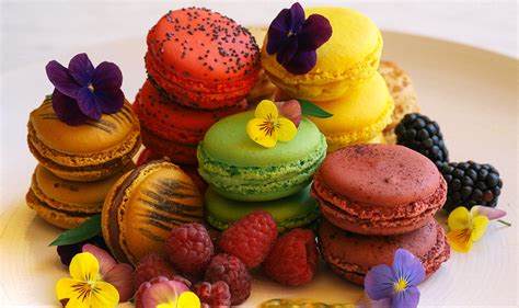 macarons french dessert