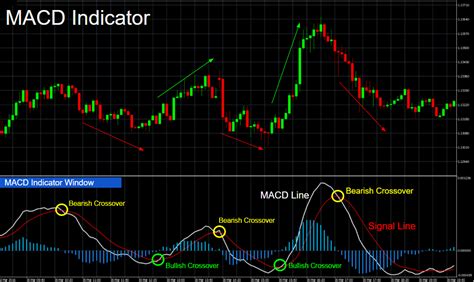 macd study