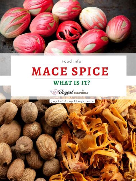 Mace Spice Adelaide
