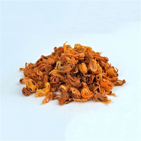 Mace Spice Uae