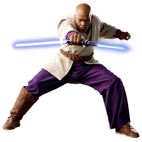Mace Windu Stance