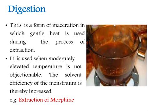 Maceration In Digestion