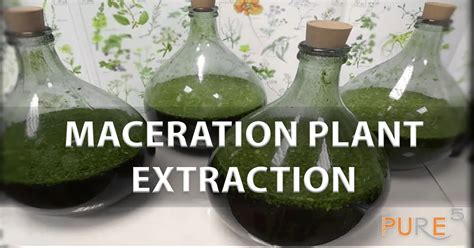Maceration Method