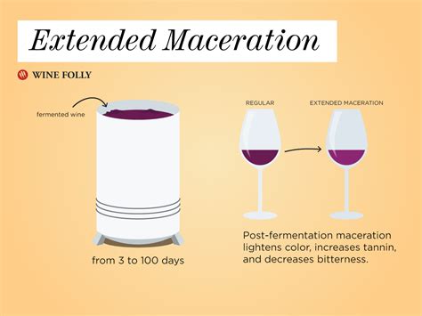 Maceration Wine Making