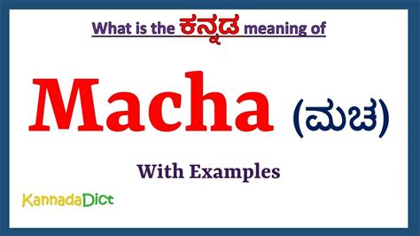 macha meaning in hindi