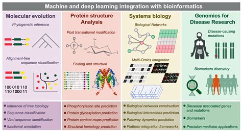 Machine Learning In Bioinformatics