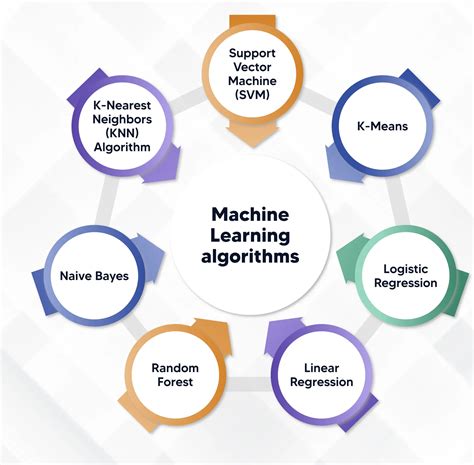 machine learning algorithms 2024