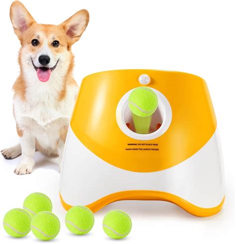 Machine That Throws Ball For Dog
