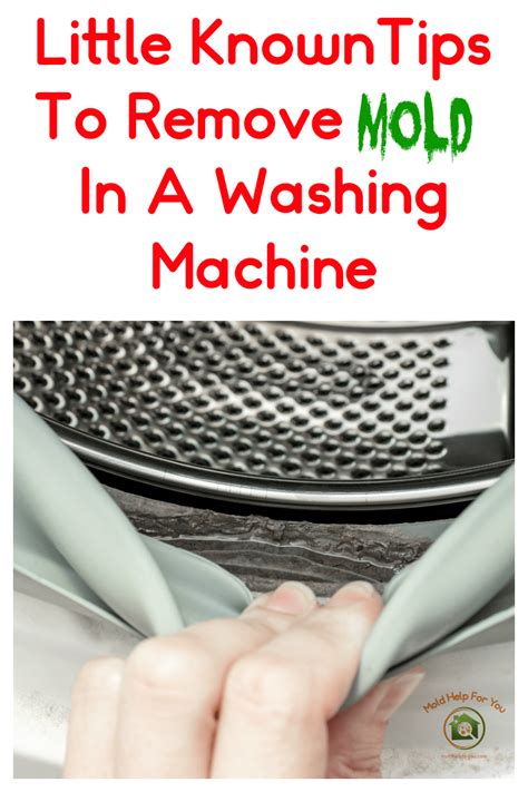 Machine To Get Rid Of Mold