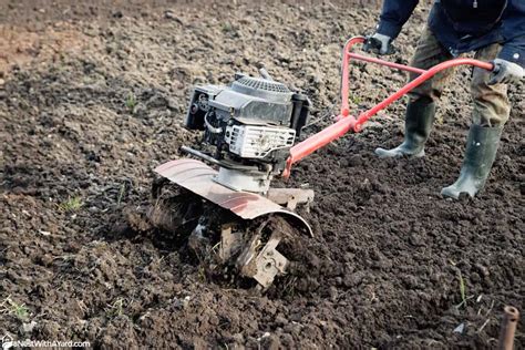 The Best Machine to Remove Rocks From Soil Mo Plants