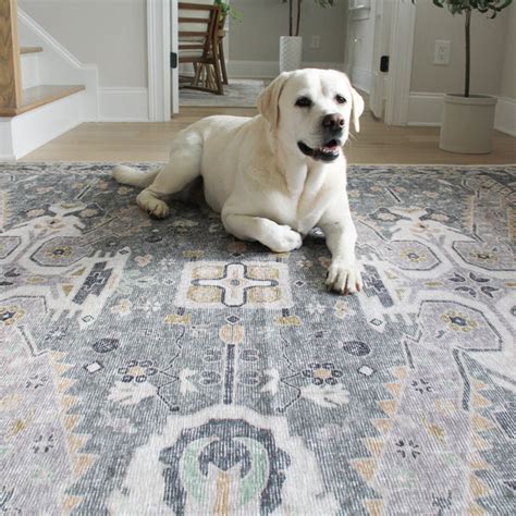 Machine Washable Dog Rug