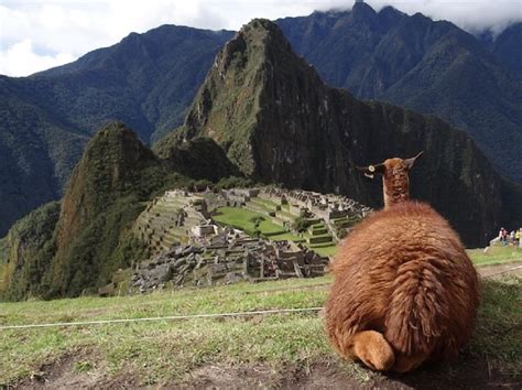 Machu Picchu Attractions