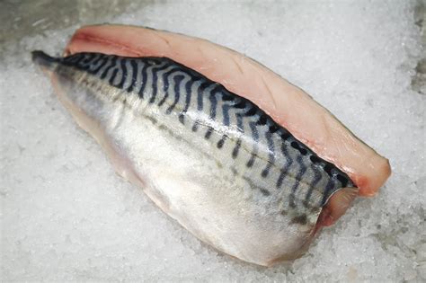 Mackerel Fillets Frozen