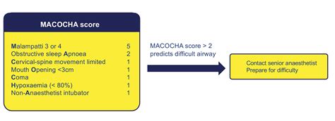 macocha score calculator