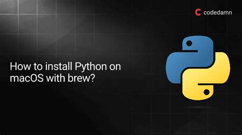 macos brew install python requests