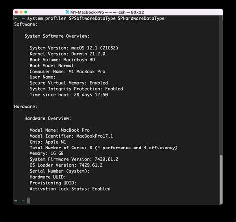 macos memory usage command line