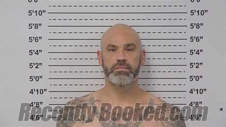 macoupin county recent arrests