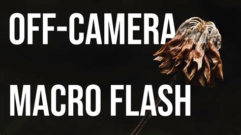 Macro Flash Photography Tutorial