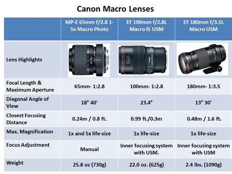 Macro Lenses Explained