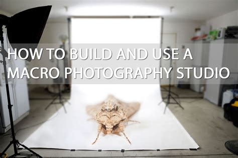 Macro Photography Studio