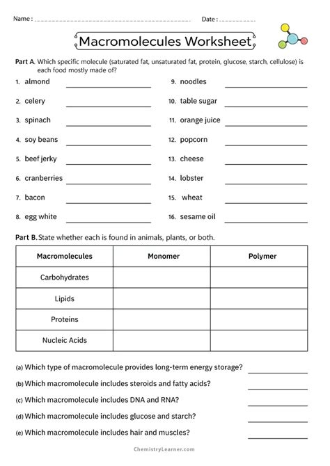Macromolecules Worksheet Answers