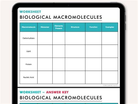 macromolecules worksheet high school biology