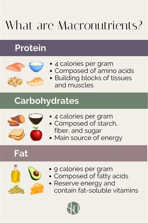 macronutrients definition