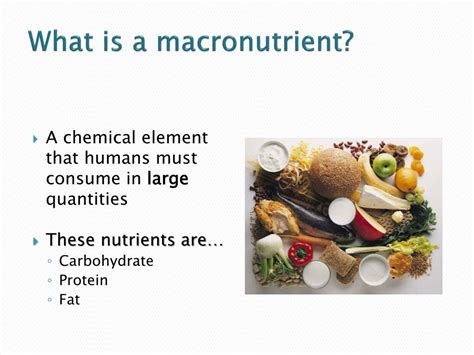 macronutrients definition science