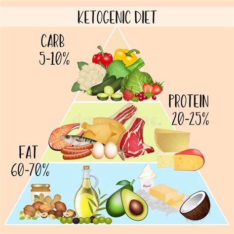 Macronutrient Proportions in Keto Diet