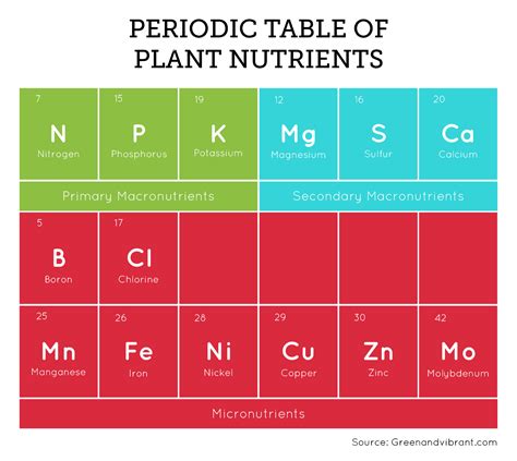 macronutrients required by plants