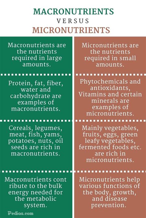 macronutrients vs micronutrients examples