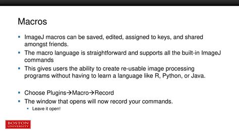 Macros In Imagej