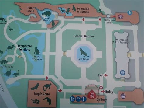 madagascar central park zoo map