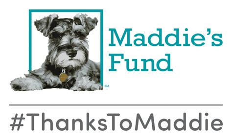 maddie's fund website