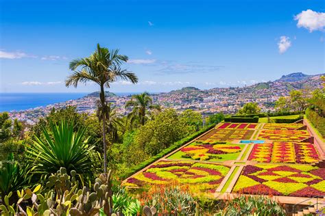 madeira island vacation packages