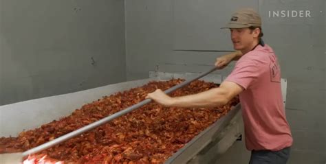 madison mcintyre crawfish