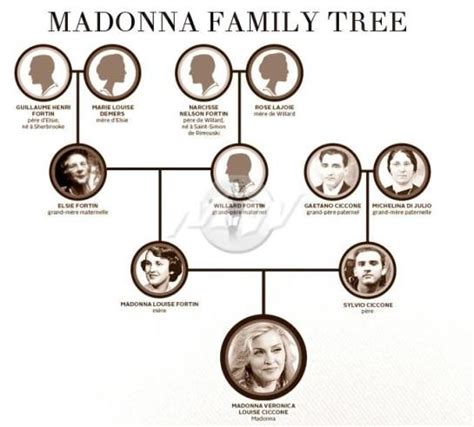 madonna ciccone family tree