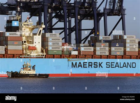 maersk sealand tracking container