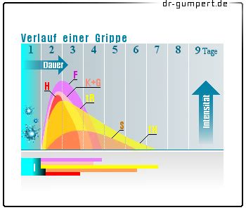 magen darm grippe verlauf