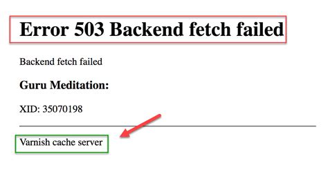 Magento Varnish Error 503 Backend Fetch Failed