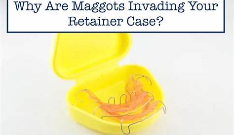 Maggots In Retainer Case
