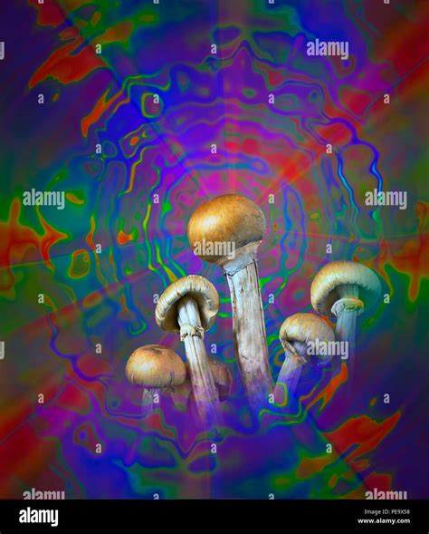 magic mushrooms and diabetes