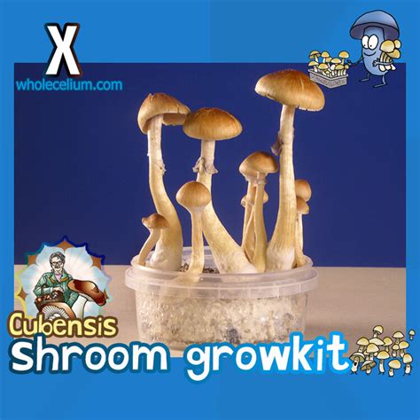magic mushrooms growkit legal
