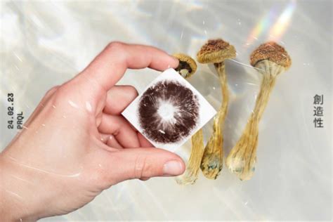 magic mushrooms psilocybin spores